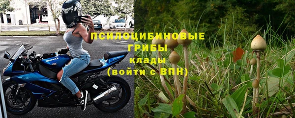 MESCALINE Аркадак