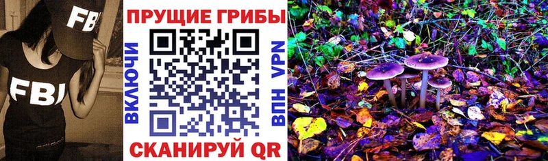 Галлюциногенные грибы Psilocybe где купить наркоту Снежногорск